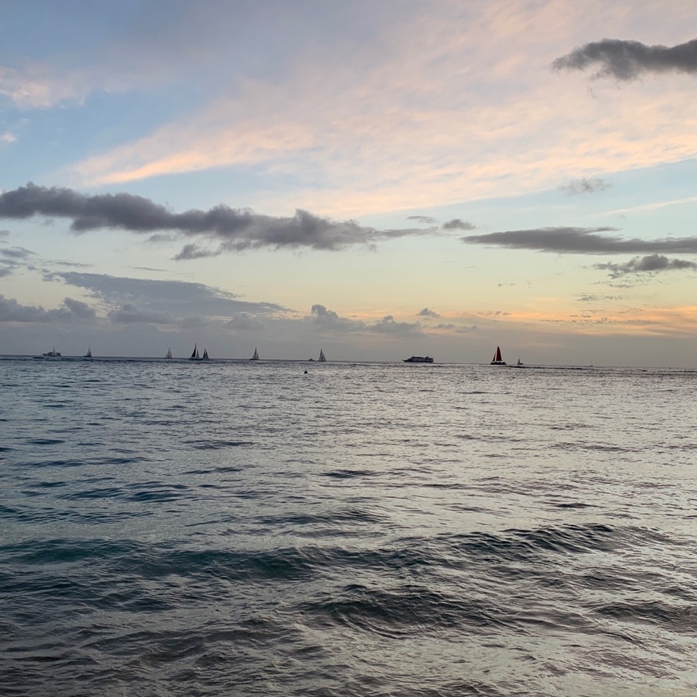 Meet your Posher, Annika